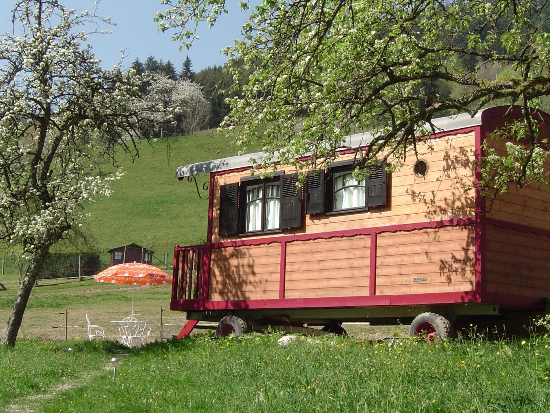 Le Repaire De Mitzerle Villa Mitzach Exterior foto